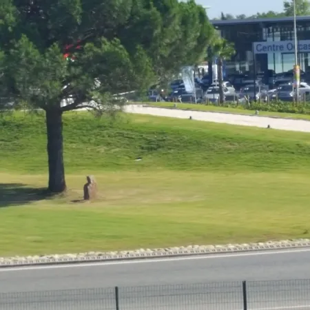 Hotelf1 Frejus Sur Argens 3*